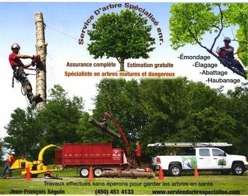 Service d'Arbre Spécialisé Enr.