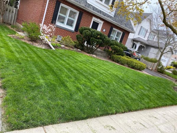Marco's Lawn Care & Landscaping