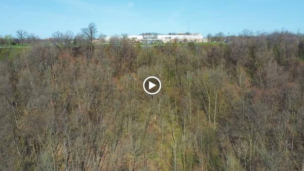 King Asphalt Maintenance