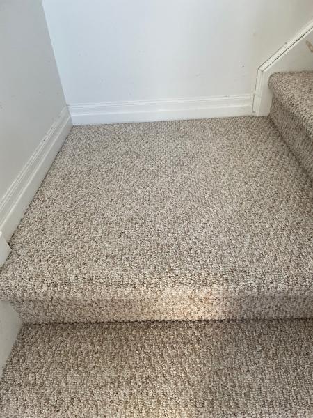 C & D Carpet & Upholstery Cleaning