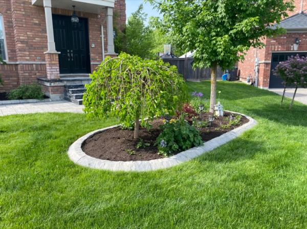Savanna's Landscaping