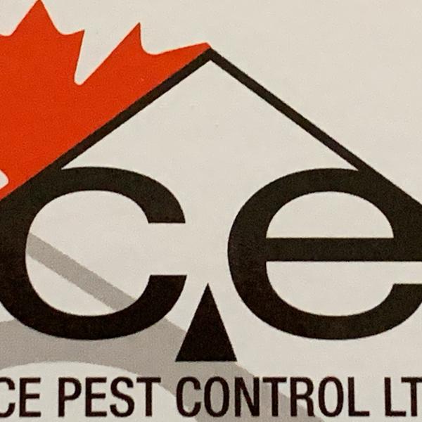 Ace Pest Control Ltd