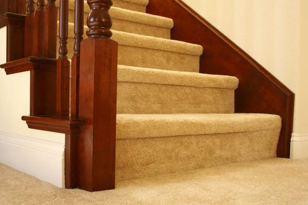 Premium Carpet & Upholstery Cleaning