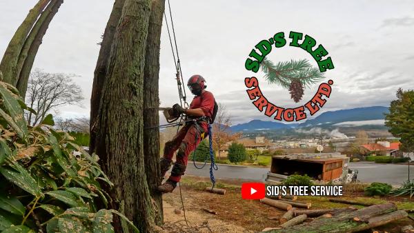 Sid's Tree Service Ltd.