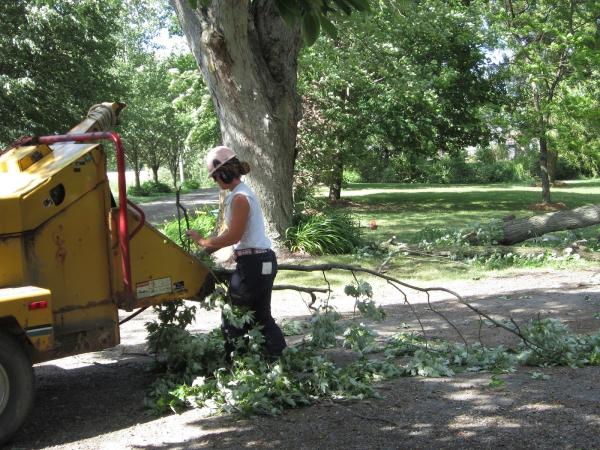 Joel's Tree Service