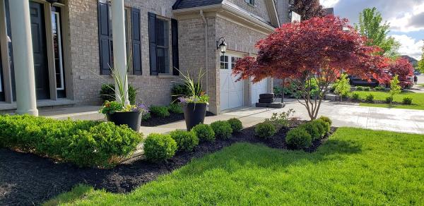 Logical Landscaping Inc.