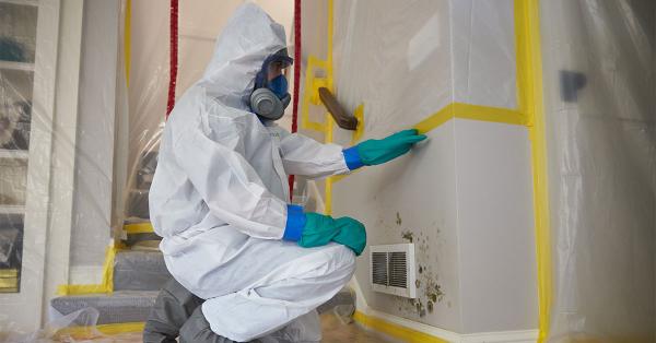 Ottawa Mold Removal