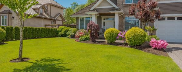 Barrie Lawn Care