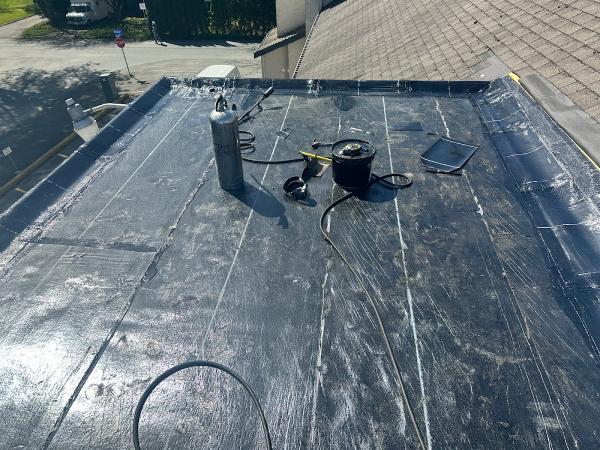 Patchs Surrey Dome Roofing