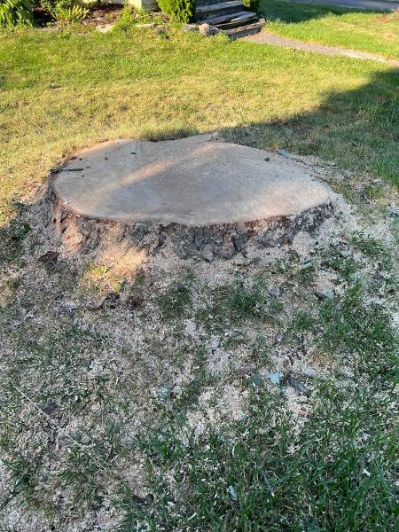 C & D Excavating and Tree Service