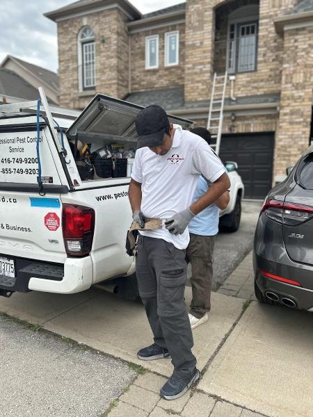 Pestend Pest Control Mississauga