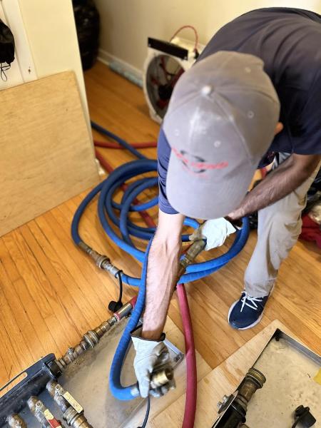 Pestend Pest Control Mississauga