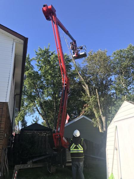 Turgeon Tree Removal