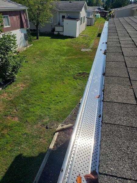 Gutters and Roofs