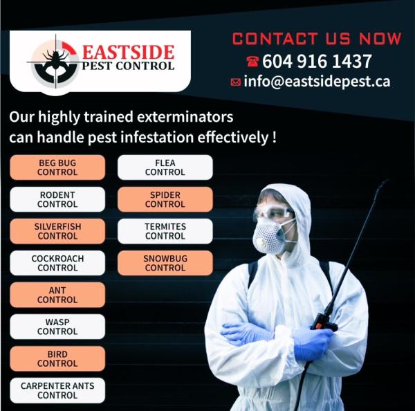 Eastside Pest Control Vancouver