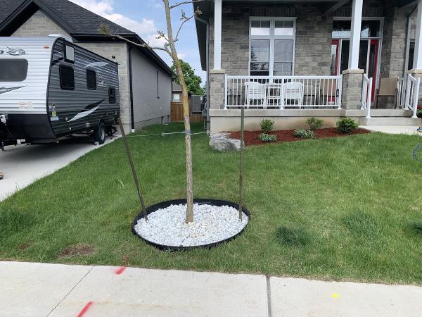 Thomson Landscaping