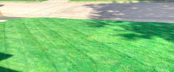 Thomson Landscaping