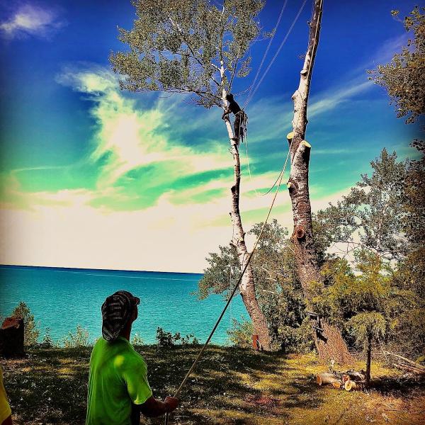 Canopy Tree Care