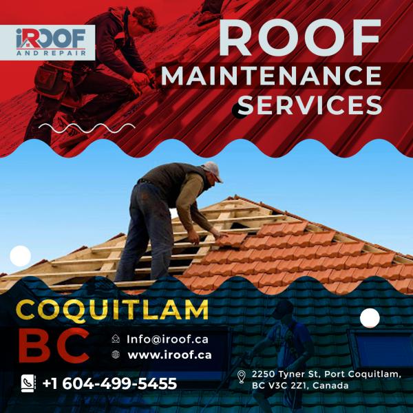 Iroof and Repair