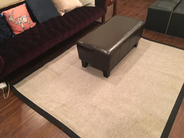 Pro-Steam Plus Carpet Cleaning