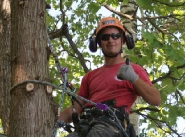 AP Tree Care and Service
