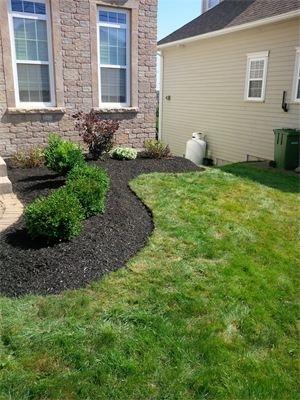 Great Scapes Property Service
