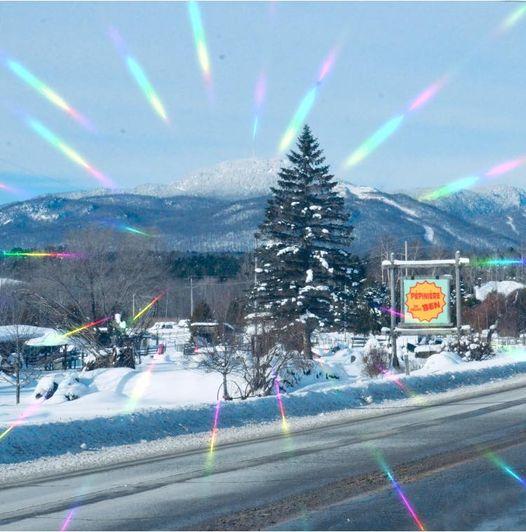 Pépinière du Grand Ben Inc