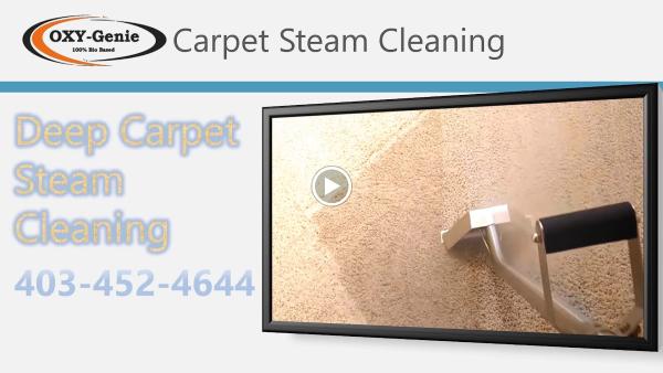 Oxy-Genie Carpet Cleaning Services