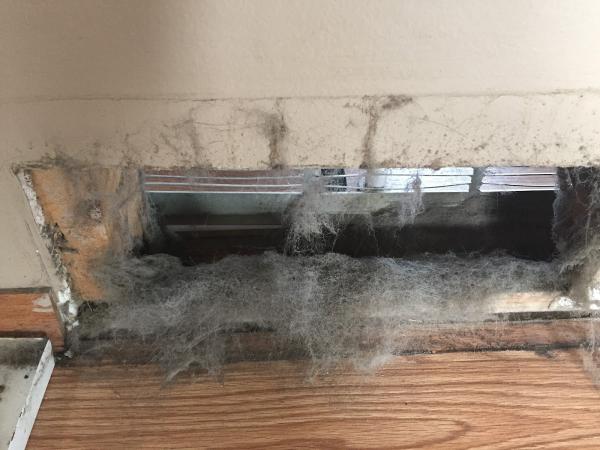 Bridge City Duct Cleaning