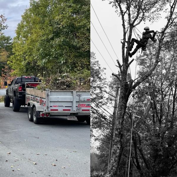 Titan Tree Services