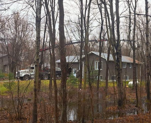 Pearson Tree Service