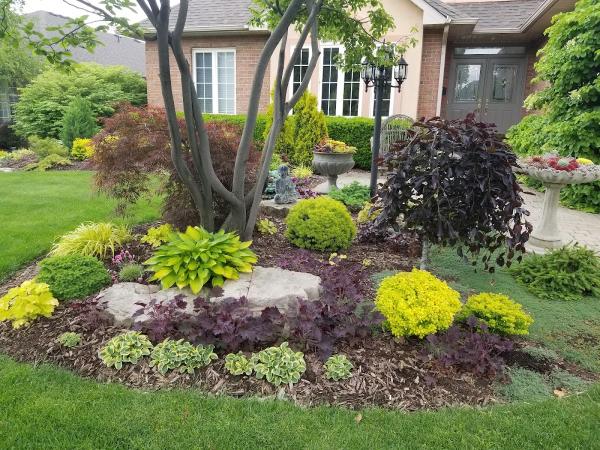 Schuit Plastering & Stucco