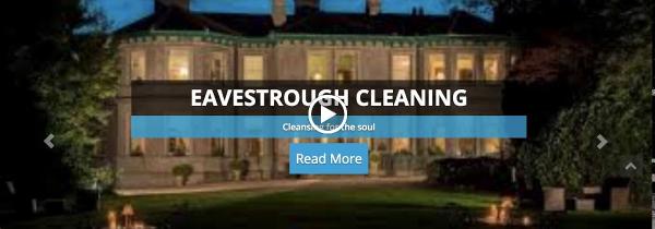 Curb Appeal Window and Gutter Cleaning