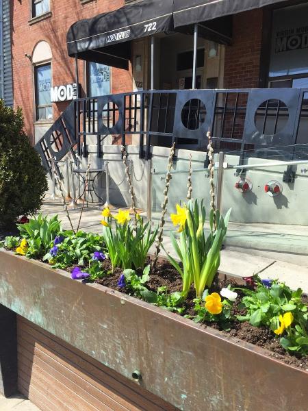 Pinewood Landscaping Ltd.
