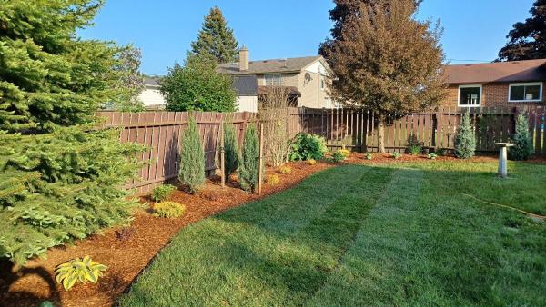 Forest View Landscaping