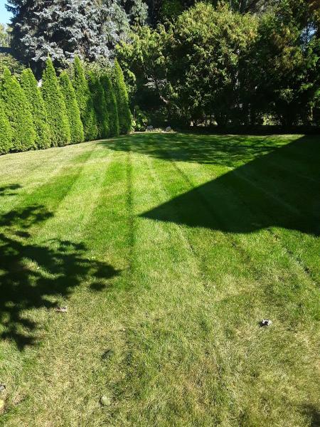 CJ Landscaping & CJ Blowers