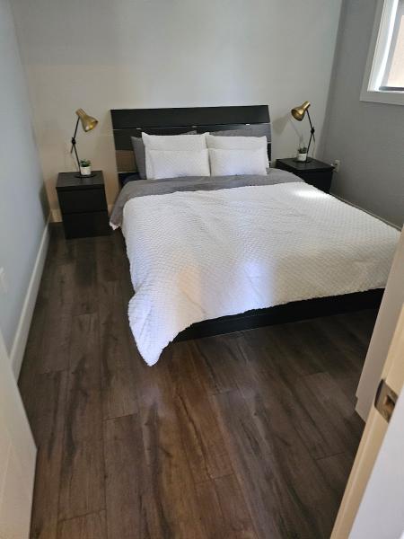 Ocd Cleaning Services Ltd