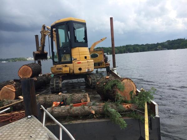 Muskoka North Tree Care