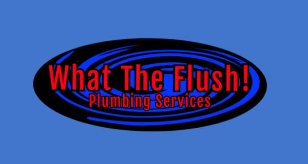 What the Flush Plumbing Services