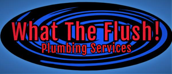 What the Flush Plumbing Services