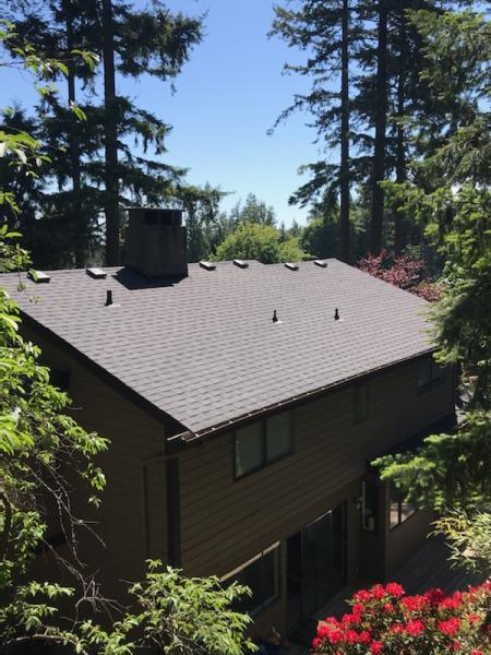 3 King's Roofing and Renovations Inc.