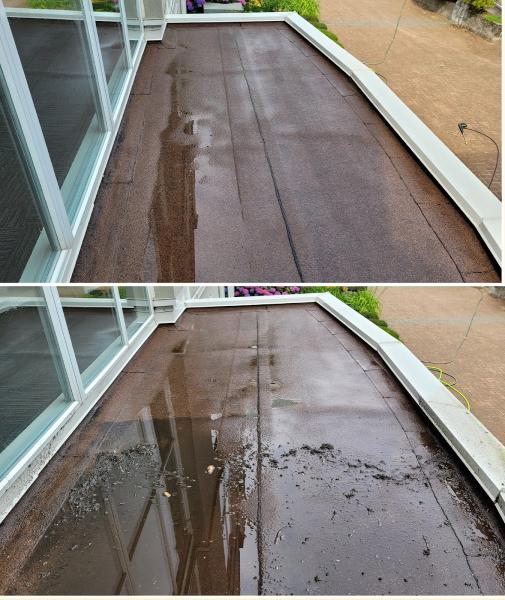 Little Leaf Property Maintenance Ltd.