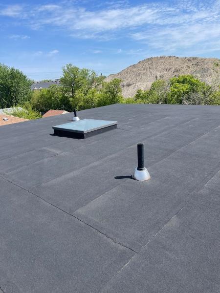 Cheetah Pro Roofing