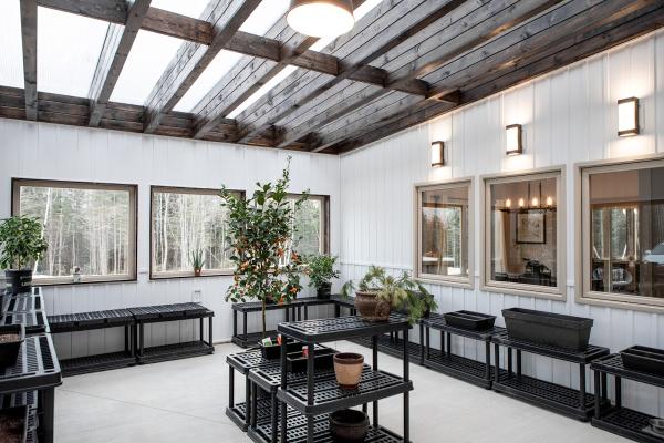 New View Designs by Laurie Cole