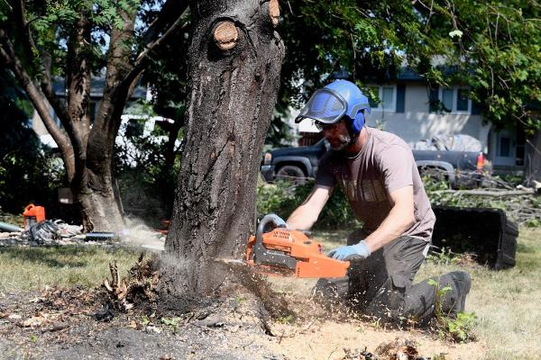 Leaf It To Us Tree Service