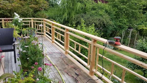 Pro Pacific Painting