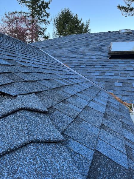 Proline Roofing Ltd.