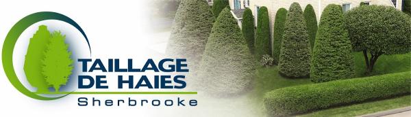 Taillage de Haies Sherbrooke