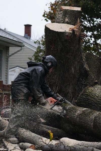 White Wolf Tree Service