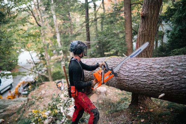 White Wolf Tree Service